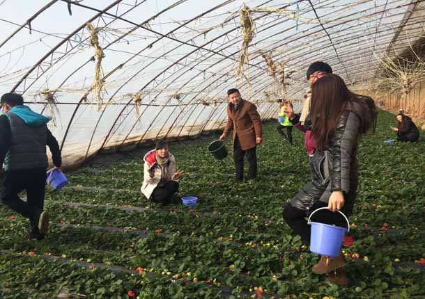 �����칫��װ�����|�N��װ�ο���ժ��ݮ