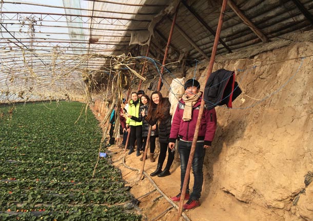 �����칫��װ�����|�N��װ�ο���ժ��ݮ