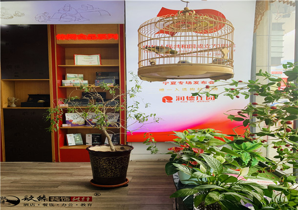 银川展厅装修|银川展厅装修设计|镹臻装饰